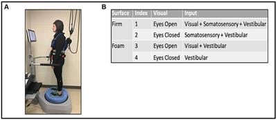 Insufficiencies in sensory systems reweighting is associated with walking impairment severity in chronic stroke: an observational cohort study